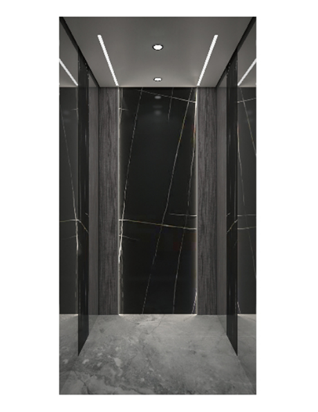 Decoração de elevador residencial de luxo SX-JX013 (opcional)